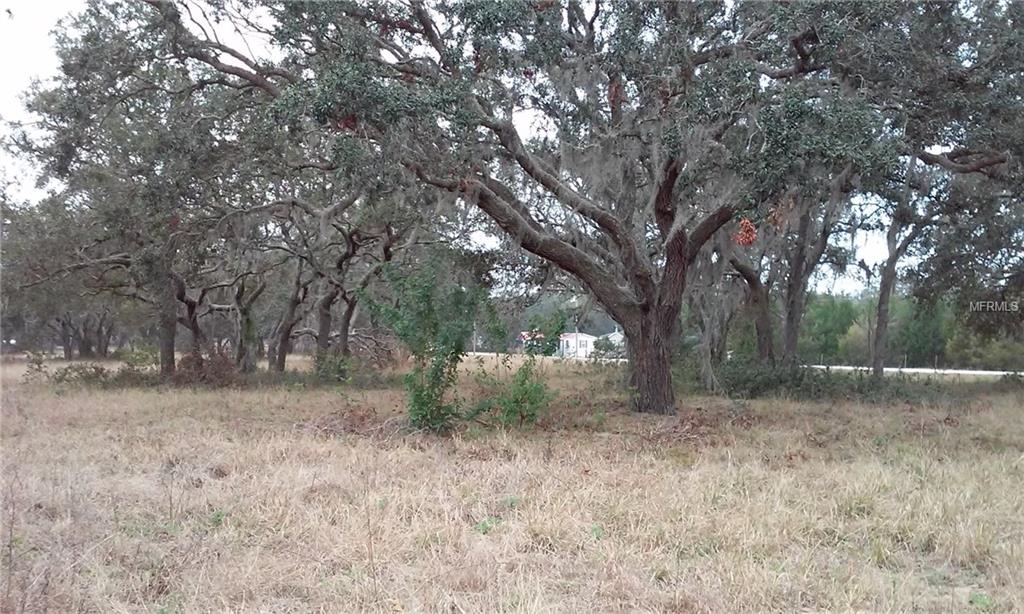 JACKSON STREET, ASTATULA, Florida 34705, ,Vacant land,For sale,JACKSON,G4852781