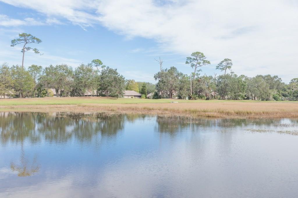 1819 SAND HILL LANE, WINTER HAVEN, Florida 33884, 3 Bedrooms Bedrooms, 7 Rooms Rooms,2 BathroomsBathrooms,Residential,For sale,SAND HILL,P4718208
