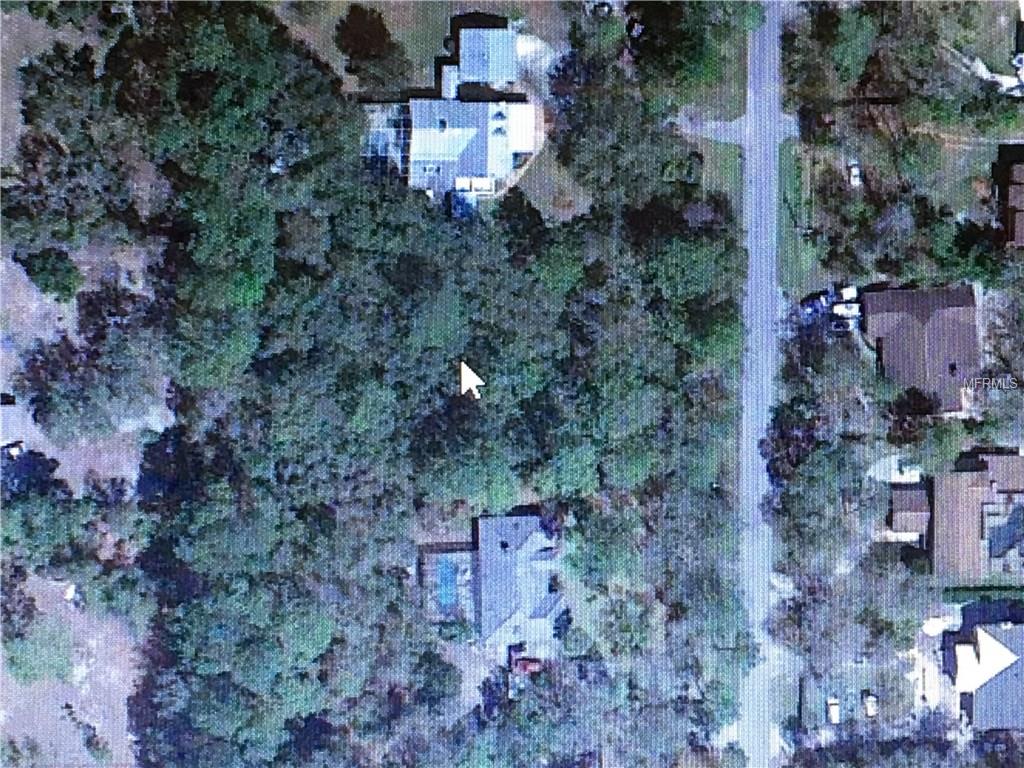 OKALOOSA TRAIL, SORRENTO, Florida 32776, ,Vacant land,For sale,OKALOOSA,V4722922