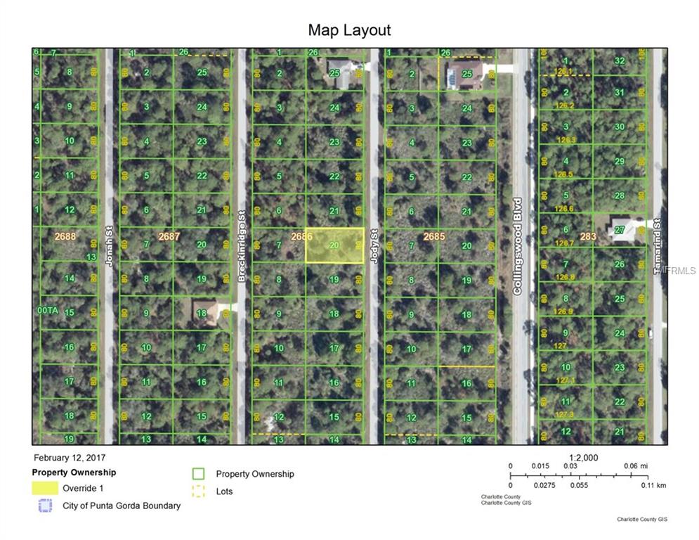 3121 JODY STREET, PORT CHARLOTTE, Florida 33948, ,Vacant land,For sale,JODY,C7235944