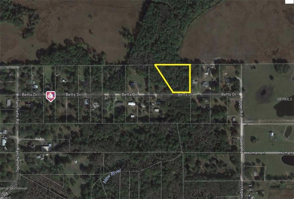 33537 BETTS DRIVE, WESLEY CHAPEL, Florida 33543, ,Vacant land,For sale,BETTS,A4209998