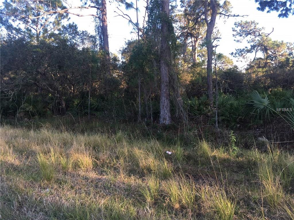 DE LEON DRIVE, NORTH PORT, Florida 34287, ,Vacant land,For sale,DE LEON,C7246696