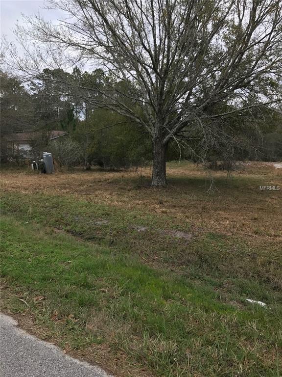 18000 DRIFTWOOD LANE, LUTZ, Florida 33558, ,Vacant land,For sale,DRIFTWOOD,T2928418