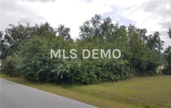 1161 GUILD STREET, PORT CHARLOTTE, Florida 33952, ,Vacant land,For sale,GUILD,C7249099