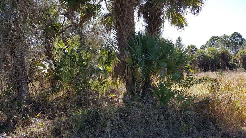 19091 RAYMOND AVENUE, PORT CHARLOTTE, Florida 33954, ,Vacant land,For sale,RAYMOND,C7236027