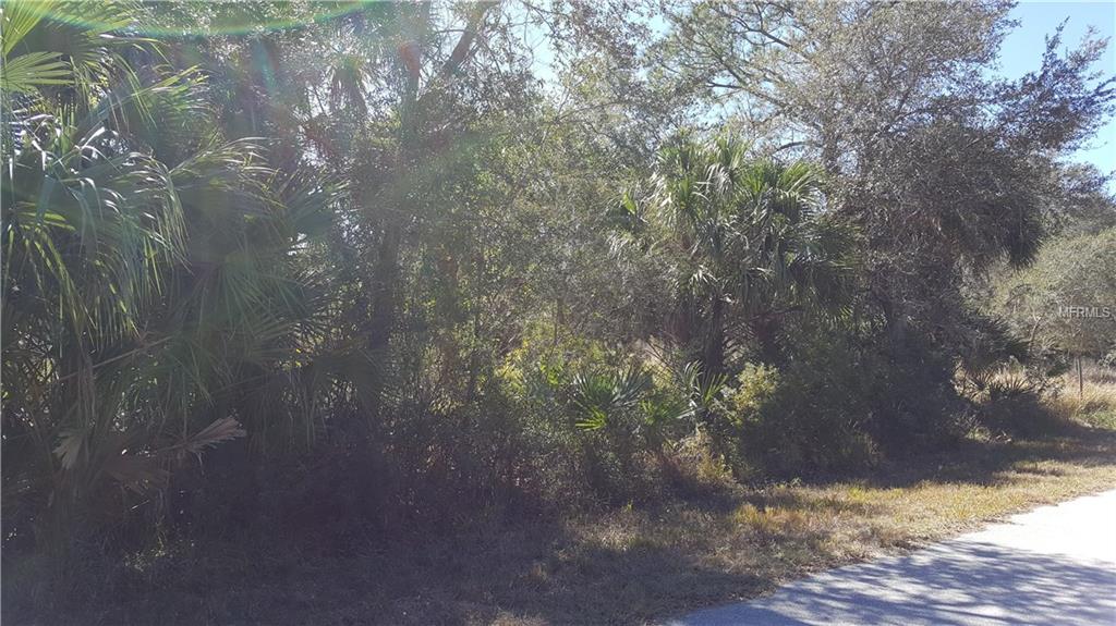 19091 RAYMOND AVENUE, PORT CHARLOTTE, Florida 33954, ,Vacant land,For sale,RAYMOND,C7236027