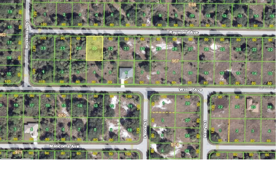 19091 RAYMOND AVENUE, PORT CHARLOTTE, Florida 33954, ,Vacant land,For sale,RAYMOND,C7236027