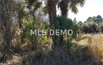 19091 RAYMOND AVENUE, PORT CHARLOTTE, Florida 33954, ,Vacant land,For sale,RAYMOND,C7236027