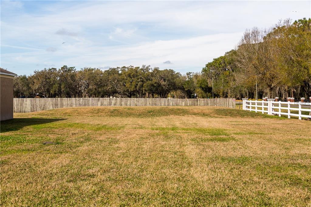 4305 AVONDALE GROVES STREET, PLANT CITY, Florida 33567, 4 Bedrooms Bedrooms, 9 Rooms Rooms,3 BathroomsBathrooms,Residential,For sale,AVONDALE GROVES,T2928350