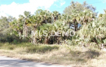 JONESBORO AVENUE, NORTH PORT, Florida 34288, ,Vacant land,For sale,JONESBORO,C7246967