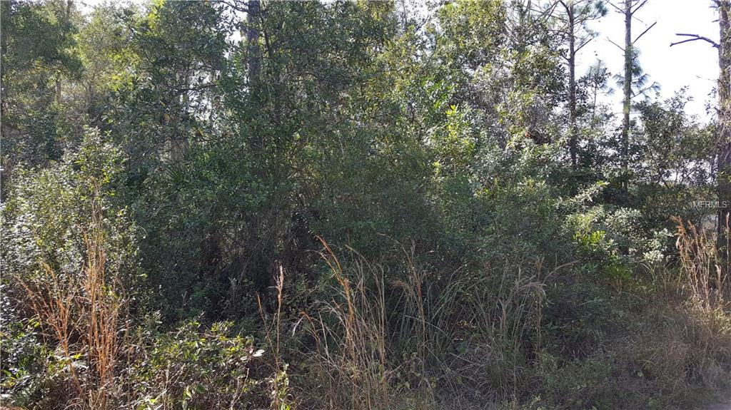 16125 GOLDENROD DRIVE, PUNTA GORDA, Florida 33955, ,Vacant land,For sale,GOLDENROD,C7236035