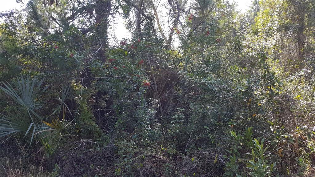 16075 GOLDENROD DRIVE, PUNTA GORDA, Florida 33955, ,Vacant land,For sale,GOLDENROD,C7236037