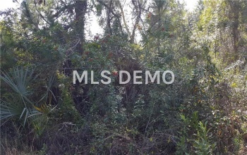 16075 GOLDENROD DRIVE, PUNTA GORDA, Florida 33955, ,Vacant land,For sale,GOLDENROD,C7236037