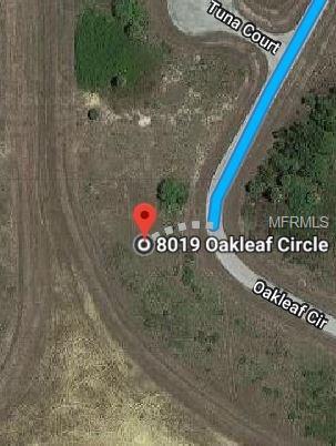 8019 OAKLEAF CIRCLE, LABELLE, Florida 33935, ,Vacant land,For sale,OAKLEAF,U7847515