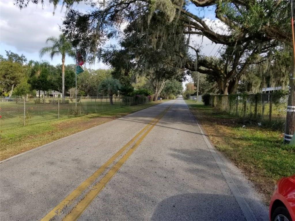 5979 HARVEY TEW ROAD, PLANT CITY, Florida 33565, ,Vacant land,For sale,HARVEY TEW,T2919583