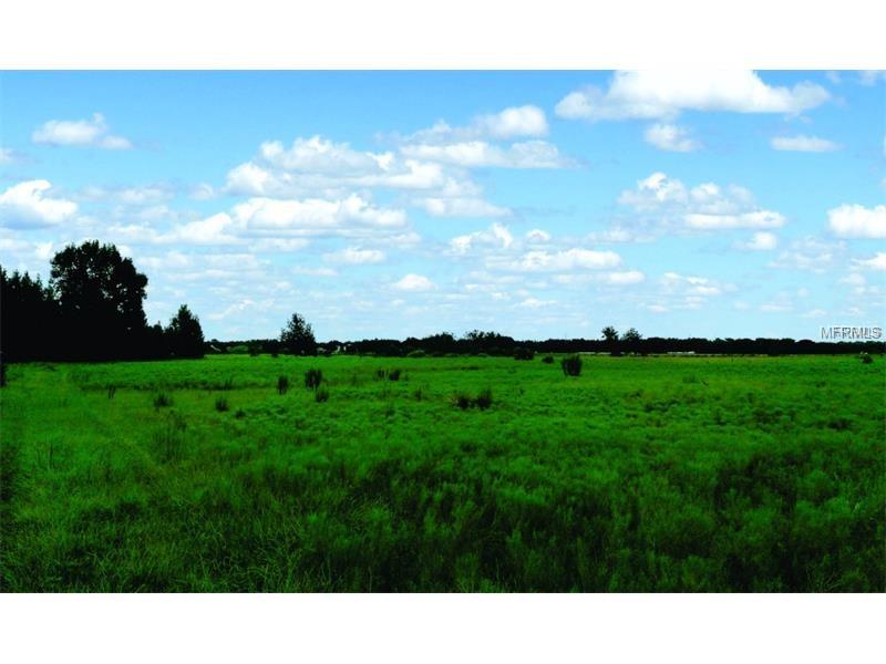 18324 DORMAN ROAD, LITHIA, Florida 33547, ,Vacant land,For sale,DORMAN,T2928442