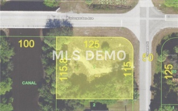 17275 WINTERGARDEN AVENUE, PORT CHARLOTTE, Florida 33948, ,Vacant land,For sale,WINTERGARDEN,C7247063