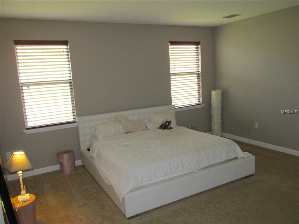 933 MOSCATO PLACE, PALM HARBOR, Florida 34683, 3 Bedrooms Bedrooms, 5 Rooms Rooms,2 BathroomsBathrooms,Residential,For sale,MOSCATO,T2899958