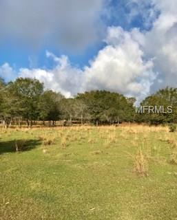 MYAKKA ROAD, SARASOTA, Florida 34240, ,Vacant land,For sale,MYAKKA,A4205036