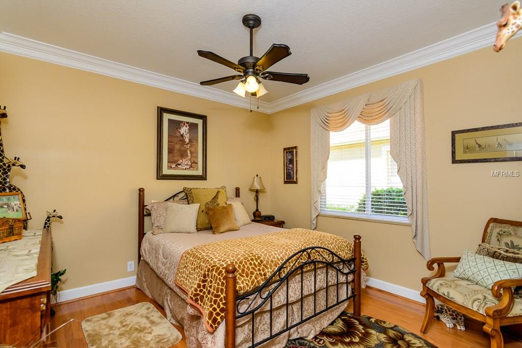 1546 EL PARDO DRIVE, TRINITY, Florida 34655, 4 Bedrooms Bedrooms, 8 Rooms Rooms,3 BathroomsBathrooms,Residential,For sale,EL PARDO,W7635095