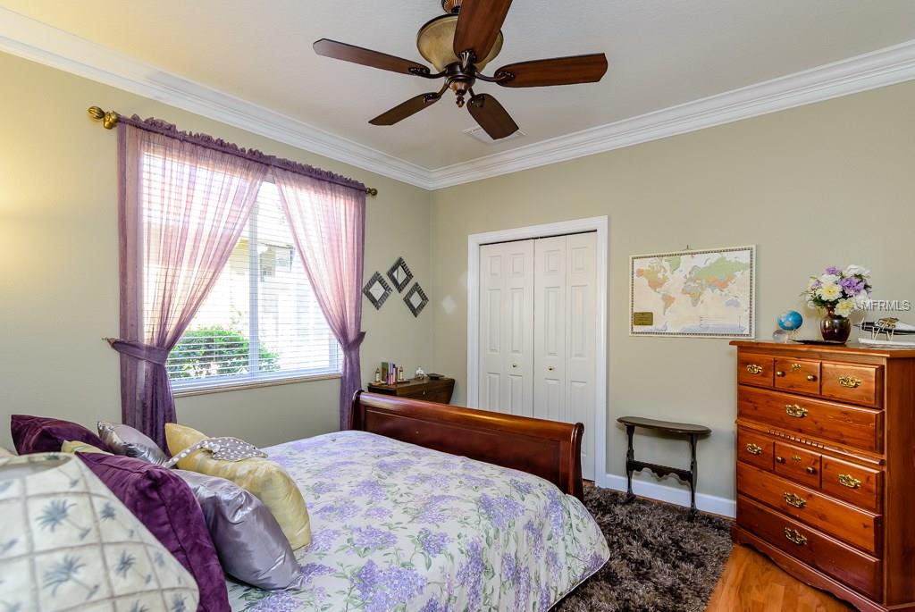 1546 EL PARDO DRIVE, TRINITY, Florida 34655, 4 Bedrooms Bedrooms, 8 Rooms Rooms,3 BathroomsBathrooms,Residential,For sale,EL PARDO,W7635095