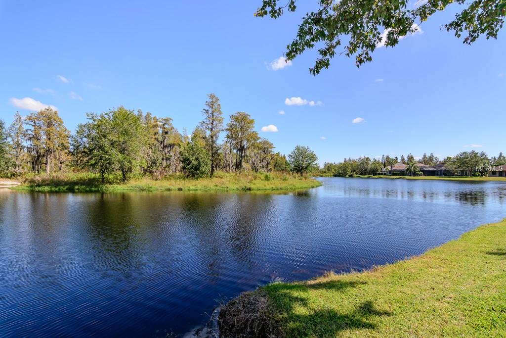 1546 EL PARDO DRIVE, TRINITY, Florida 34655, 4 Bedrooms Bedrooms, 8 Rooms Rooms,3 BathroomsBathrooms,Residential,For sale,EL PARDO,W7635095