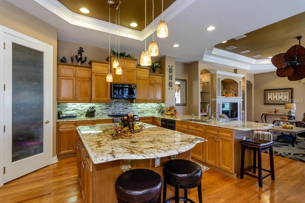 1546 EL PARDO DRIVE, TRINITY, Florida 34655, 4 Bedrooms Bedrooms, 8 Rooms Rooms,3 BathroomsBathrooms,Residential,For sale,EL PARDO,W7635095