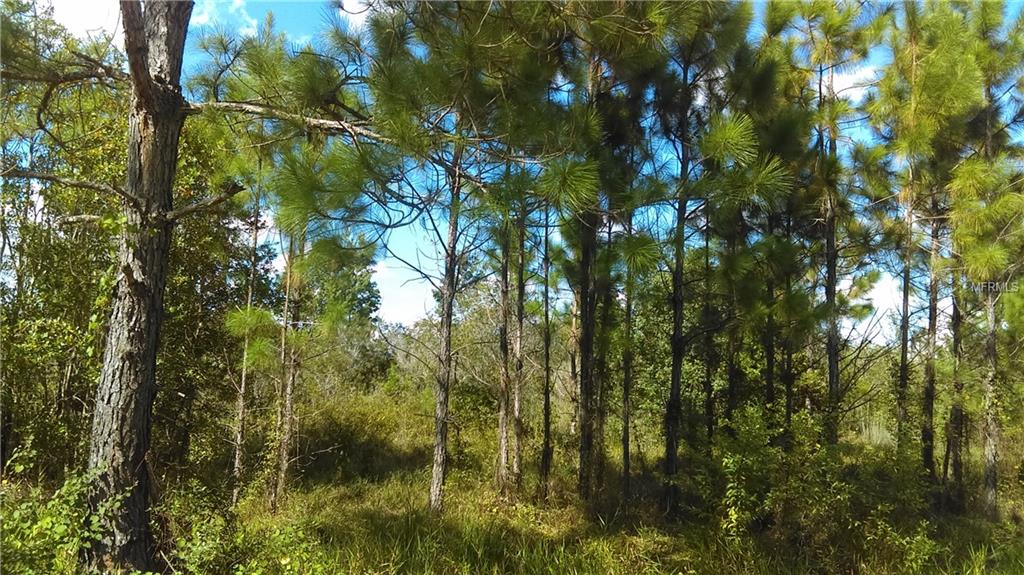 WATER ROAD, CLERMONT, Florida 34714, ,Vacant land,For sale,WATER ROAD,G4838973