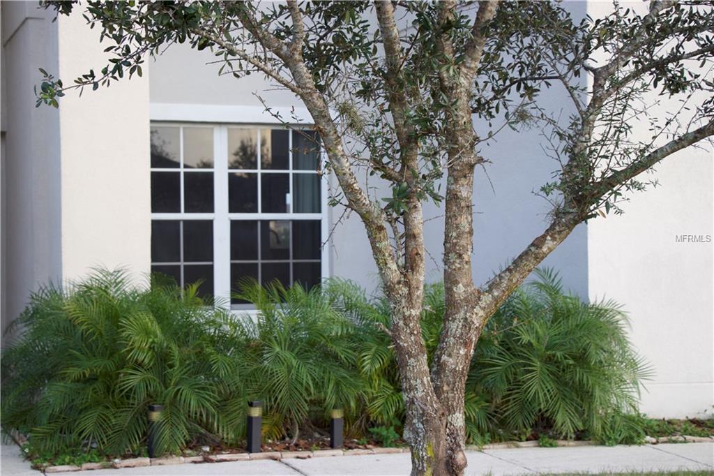 5420 CALLA LILY COURT, KISSIMMEE, Florida 34758, 7 Bedrooms Bedrooms, 9 Rooms Rooms,4 BathroomsBathrooms,Residential,For sale,CALLA LILY,O5561963