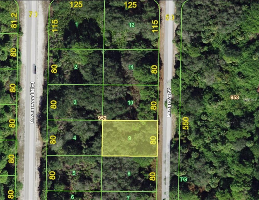 35 MUSGROVE STREET, PORT CHARLOTTE, Florida 33954, ,Vacant land,For sale,MUSGROVE,C7249123