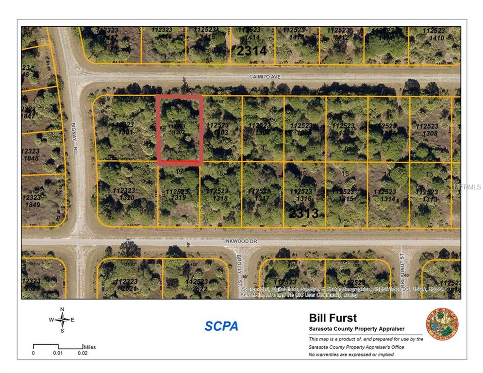 CAIMITO AVENUE, NORTH PORT, Florida 34288, ,Vacant land,For sale,CAIMITO,D5923009