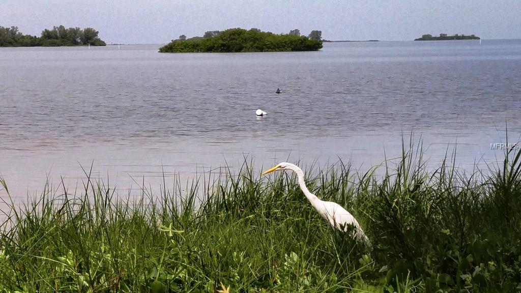 2700 BAYSHORE BOULEVARD, DUNEDIN, Florida 34698, 2 Bedrooms Bedrooms, 4 Rooms Rooms,2 BathroomsBathrooms,Residential,For sale,BAYSHORE,U7845809