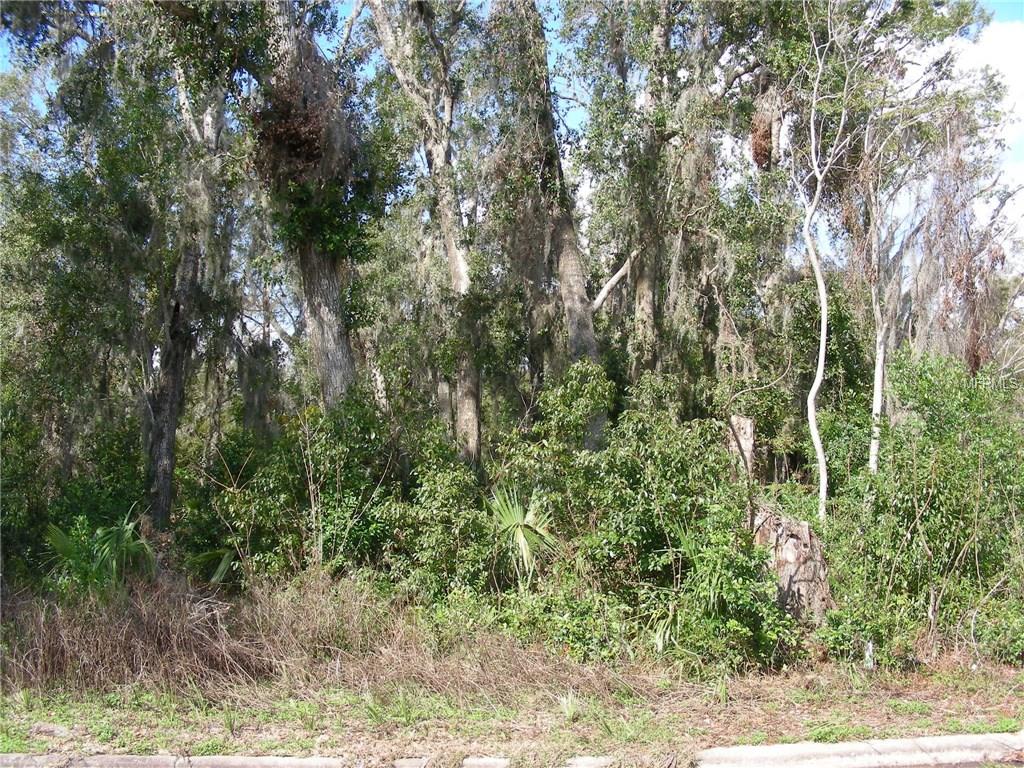 WOODMONT, DELAND, Florida 32724, ,Vacant land,For sale,WOODMONT,V4722935