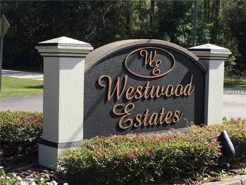 27419 ELKWOOD CIRCLE, WESLEY CHAPEL, Florida 33544, ,Vacant land,For sale,ELKWOOD,T2928529