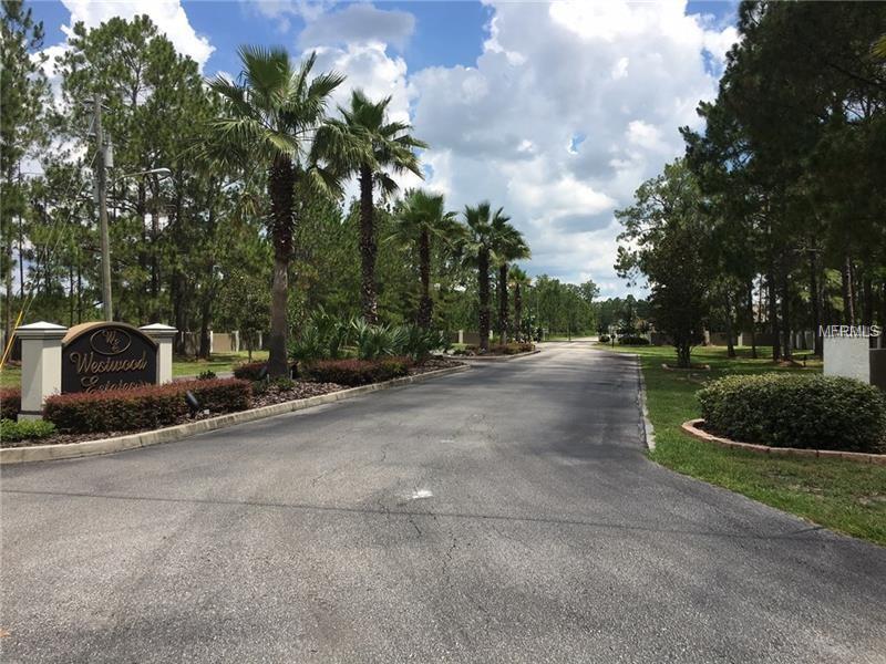 27419 ELKWOOD CIRCLE, WESLEY CHAPEL, Florida 33544, ,Vacant land,For sale,ELKWOOD,T2928529