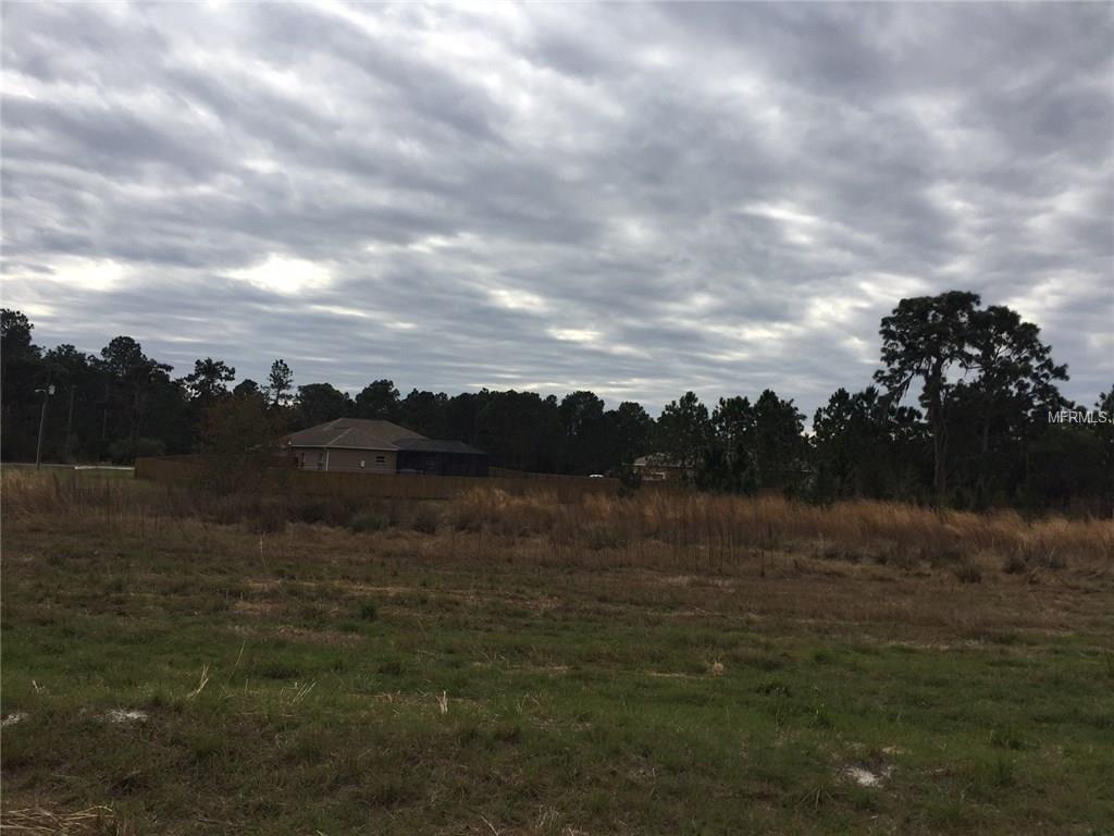 27419 ELKWOOD CIRCLE, WESLEY CHAPEL, Florida 33544, ,Vacant land,For sale,ELKWOOD,T2928529