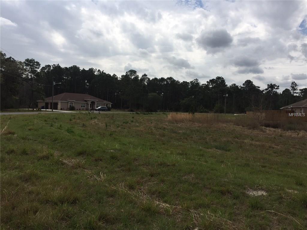 27419 ELKWOOD CIRCLE, WESLEY CHAPEL, Florida 33544, ,Vacant land,For sale,ELKWOOD,T2928529