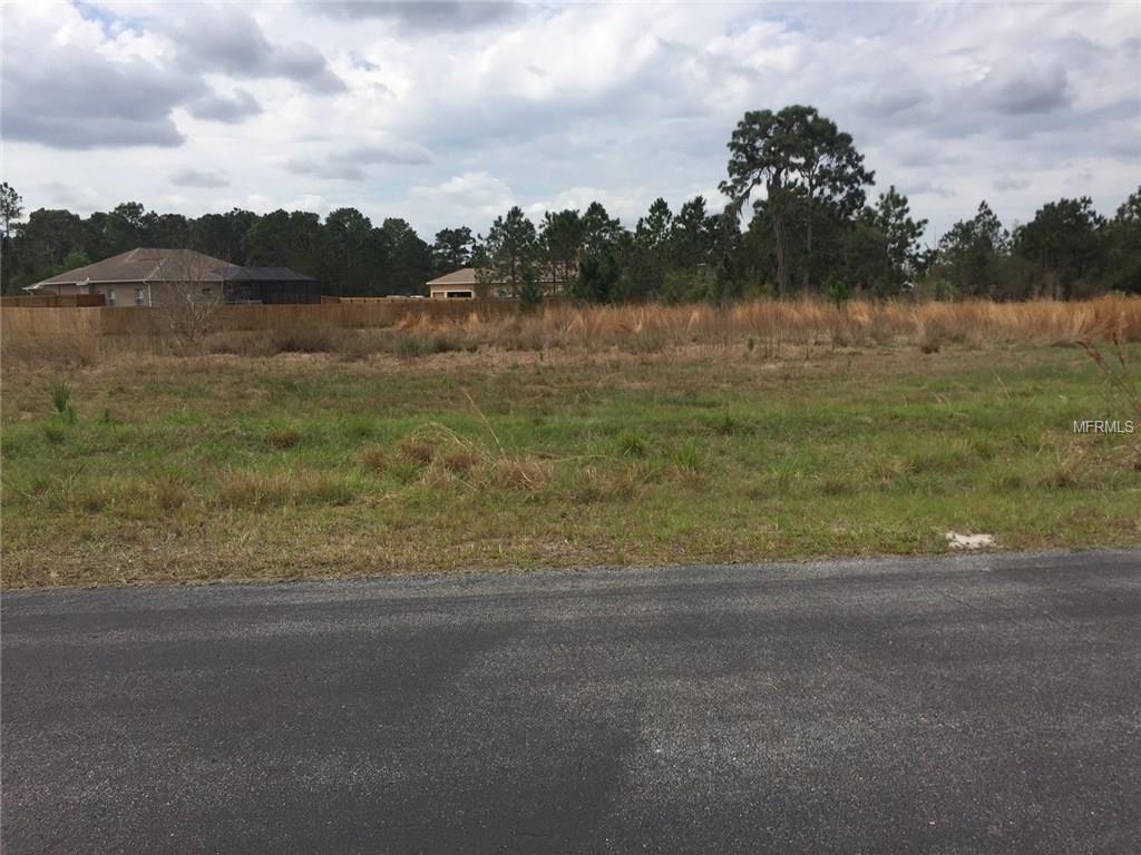 27419 ELKWOOD CIRCLE, WESLEY CHAPEL, Florida 33544, ,Vacant land,For sale,ELKWOOD,T2928529