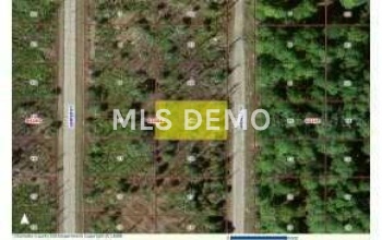 4113 Brendle, Port Charlotte, Florida 33948, ,Vacant land,For sale,Brendle,C652661