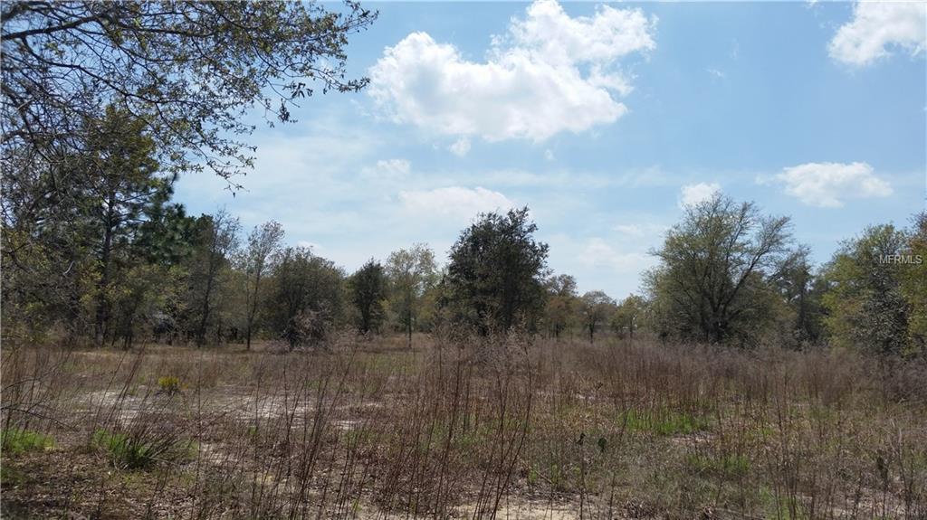 KITTIWAKE ROAD, WEEKI WACHEE, Florida 34614, ,Vacant land,For sale,KITTIWAKE,W7636640