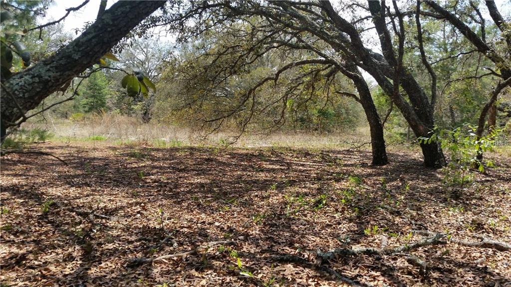 KITTIWAKE ROAD, WEEKI WACHEE, Florida 34614, ,Vacant land,For sale,KITTIWAKE,W7636640