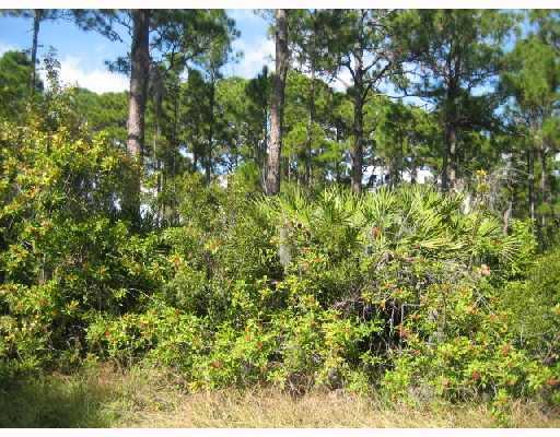 12172 FEDERAL AVENUE, PORT CHARLOTTE, Florida 33953, ,Vacant land,For sale,FEDERAL,C6997003