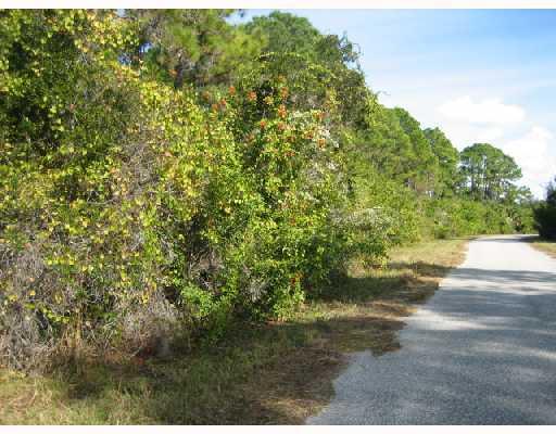 12172 FEDERAL AVENUE, PORT CHARLOTTE, Florida 33953, ,Vacant land,For sale,FEDERAL,C6997003