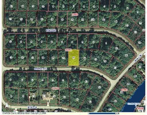 12172 FEDERAL AVENUE, PORT CHARLOTTE, Florida 33953, ,Vacant land,For sale,FEDERAL,C6997003