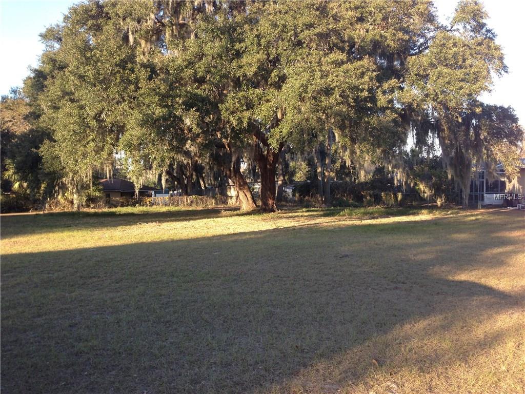 TWIN PALMS ROAD, FRUITLAND PARK, Florida 34731, ,Vacant land,For sale,TWIN PALMS,G4851318