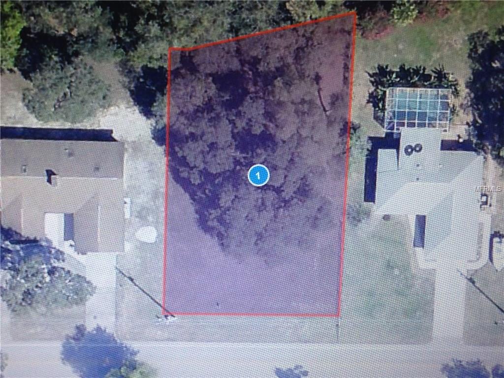 TWIN PALMS ROAD, FRUITLAND PARK, Florida 34731, ,Vacant land,For sale,TWIN PALMS,G4851318
