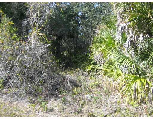 1533 RAMBLER TERRACE, PORT CHARLOTTE, Florida 33953, ,Vacant land,For sale,RAMBLER,C6997006