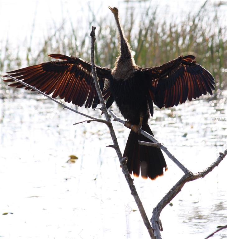 12299 ALBRECHT TERRACE, PORT CHARLOTTE, Florida 33981, ,Vacant land,For sale,ALBRECHT,C7237608