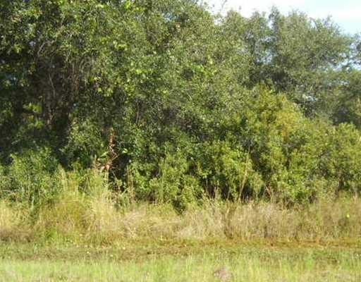 PERENNIAL ROAD, NORTH PORT, Florida 34291, ,Vacant land,For sale,PERENNIAL,C7023879