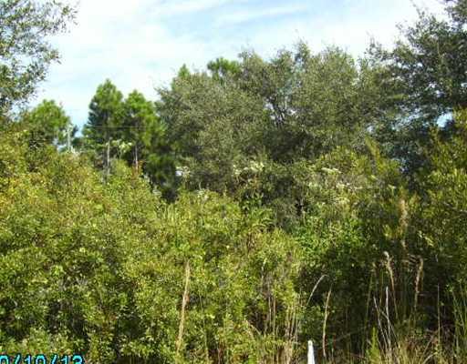 PERENNIAL ROAD, NORTH PORT, Florida 34291, ,Vacant land,For sale,PERENNIAL,C7023879